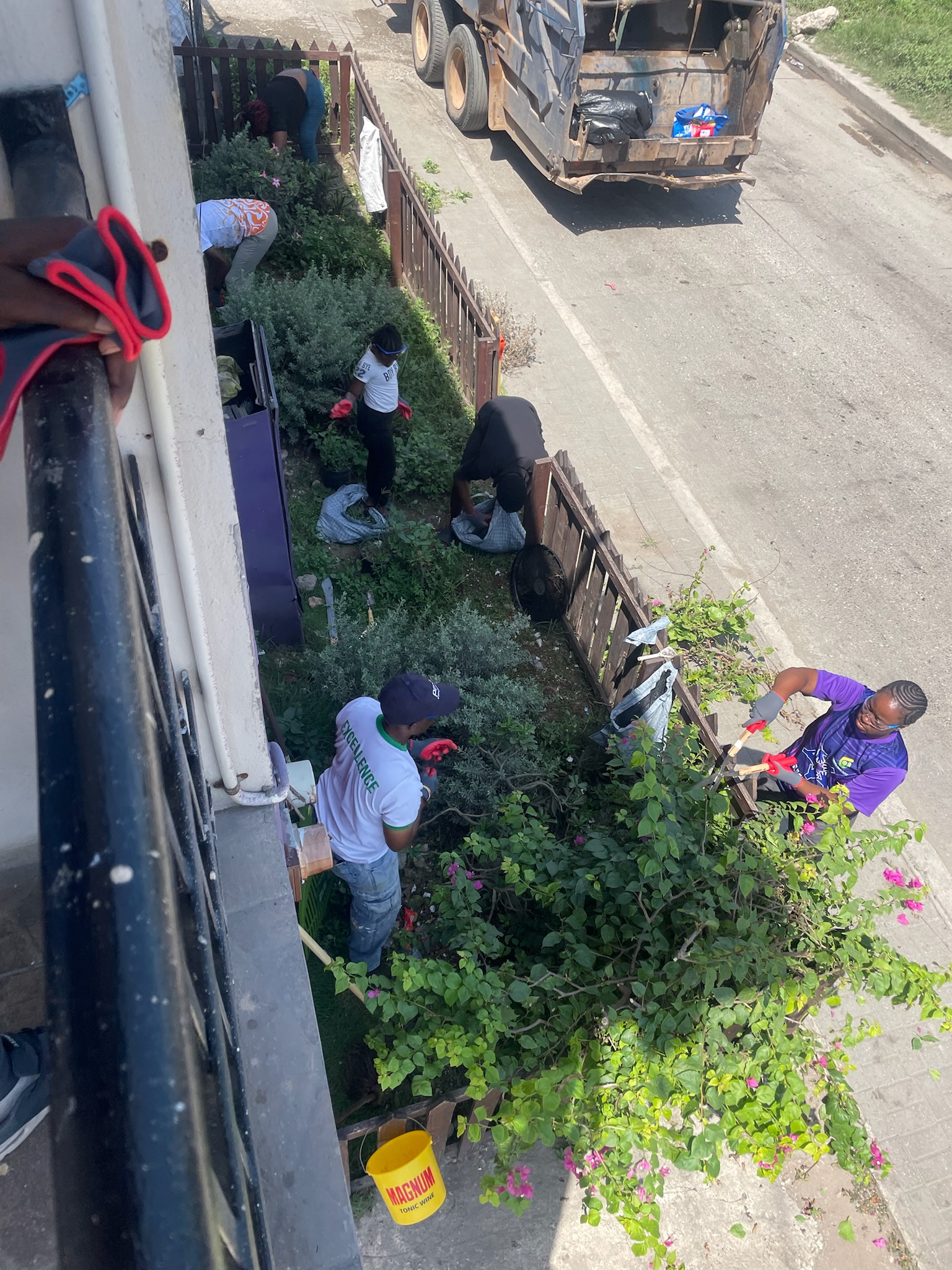 Volunteers Working on Yard near a street