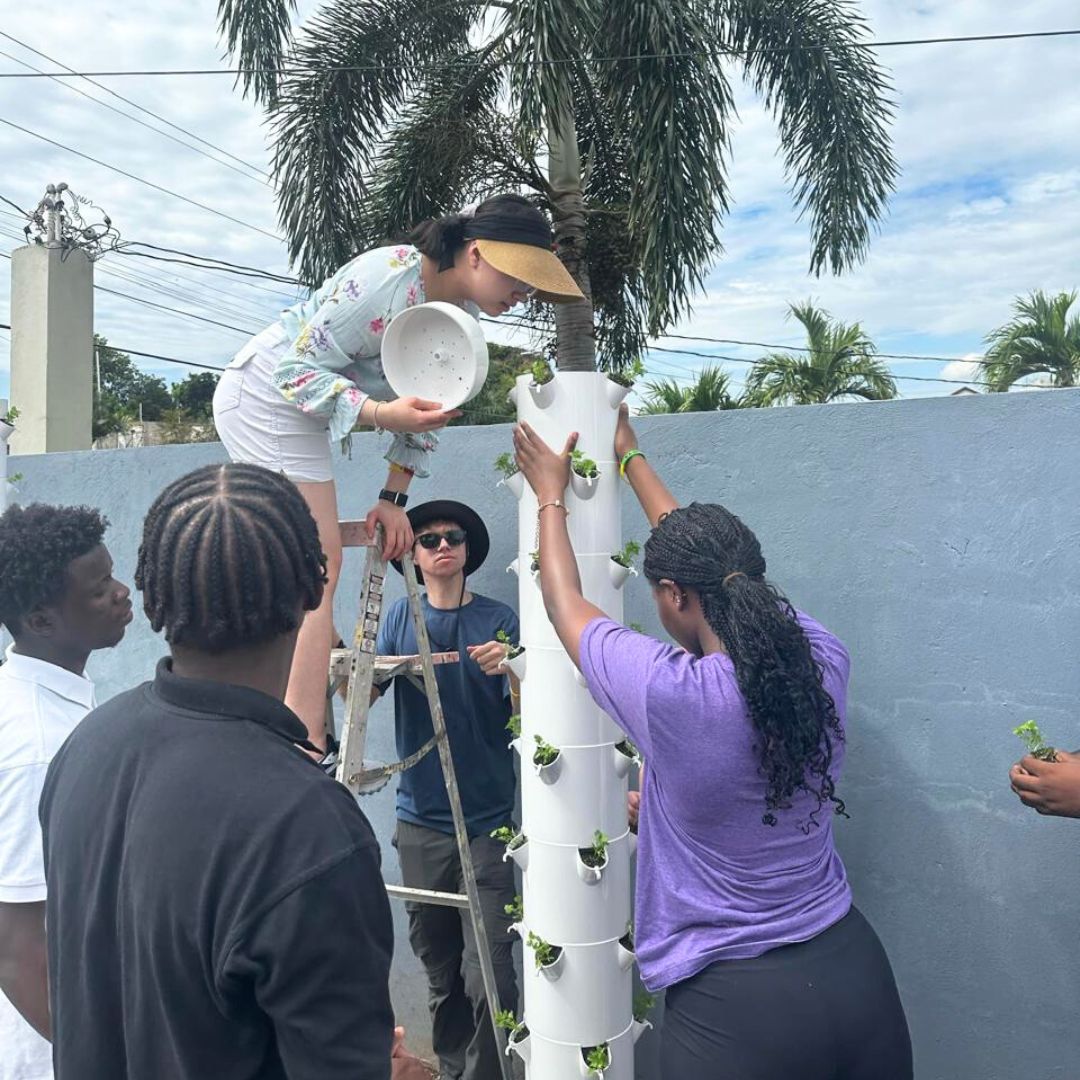 Scholars with students from the U.S. learning about urban farming
